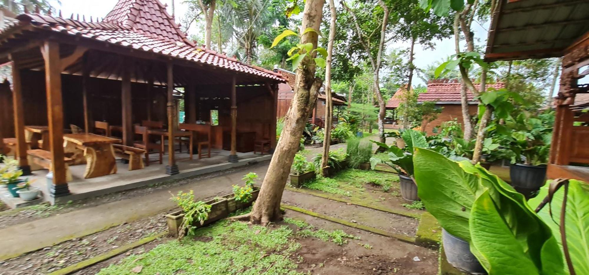 Anugrah Borobudur Magelang Exteriör bild