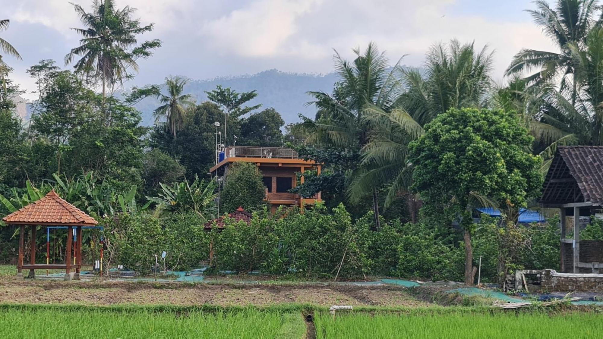 Anugrah Borobudur Magelang Exteriör bild
