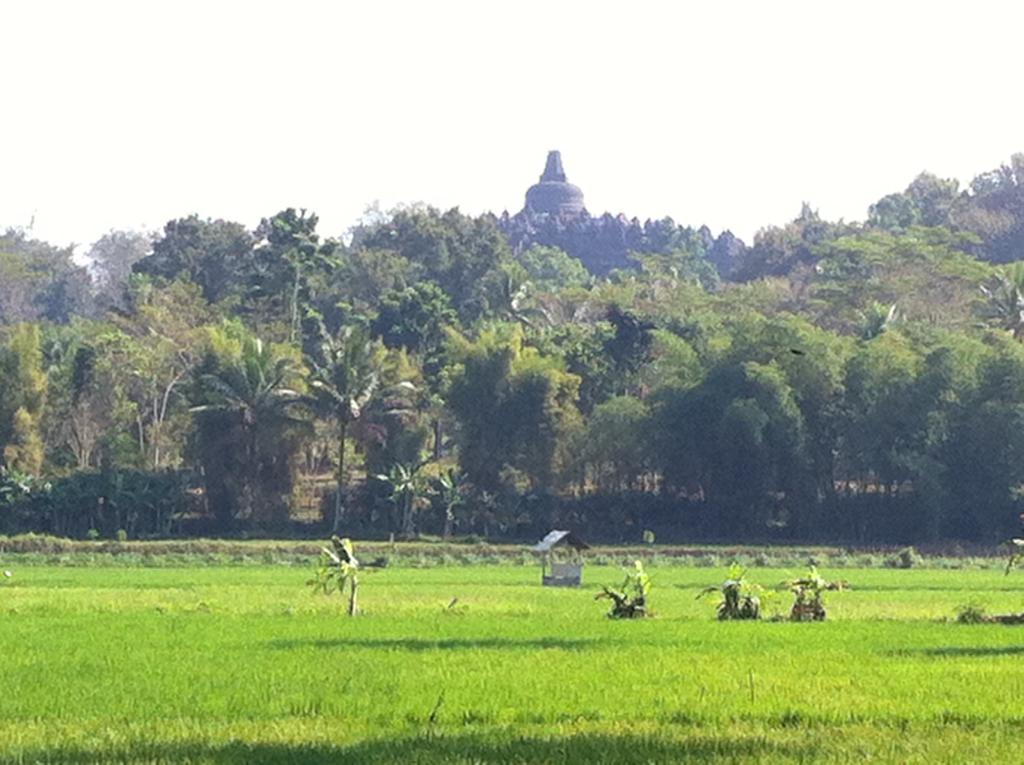 Anugrah Borobudur Magelang Exteriör bild